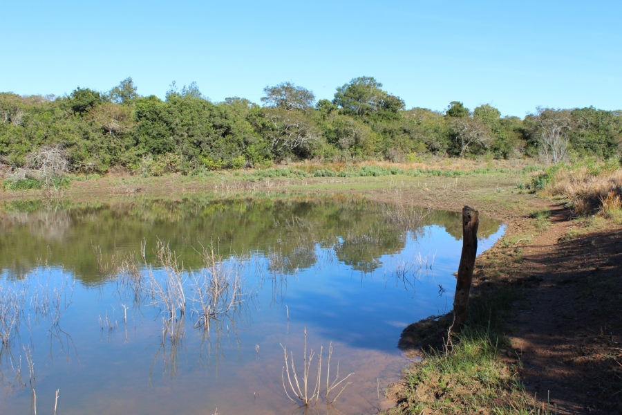 1 Bedroom Property for Sale in Bathurst Rural Eastern Cape